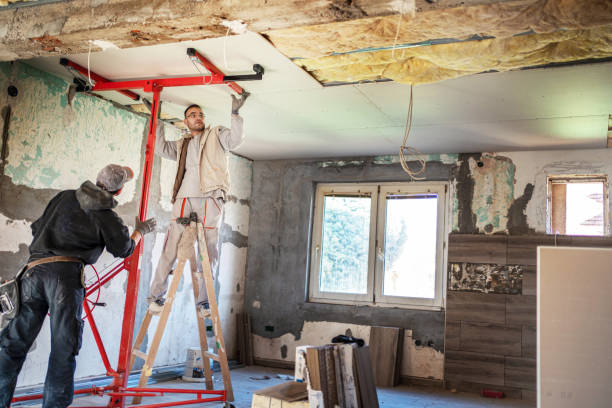 Best Insulation Installation Services in Clawson, MI